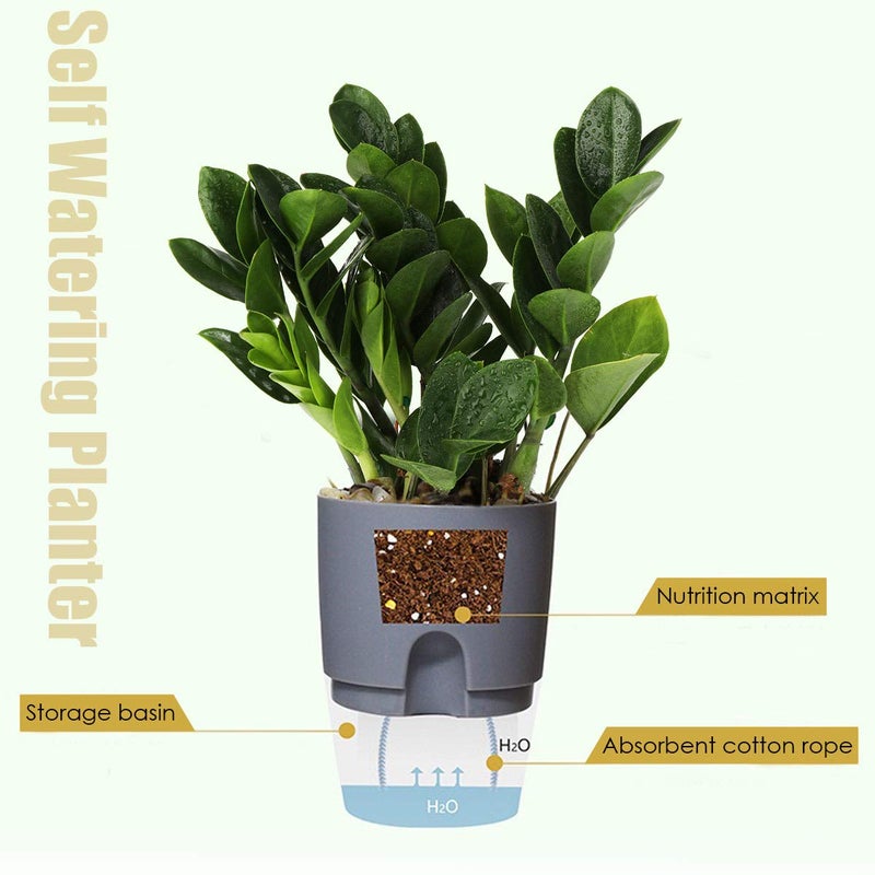 Vanavazon 6 Inch Self Watering Planter Pots for Indoor Plants, 3 Pack African Violet Pots with Wick Rope-Grey - Image 2